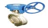 Butterfly Valves